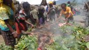 Bakar Batu, Tradisi Memasak Ala Papua