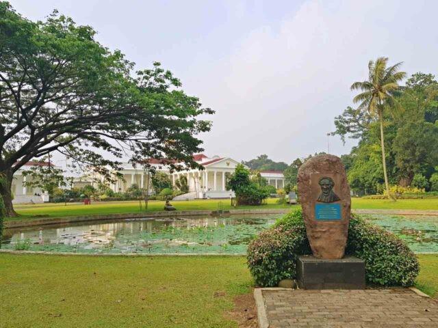 pesona mistis kebun raya bogor 1